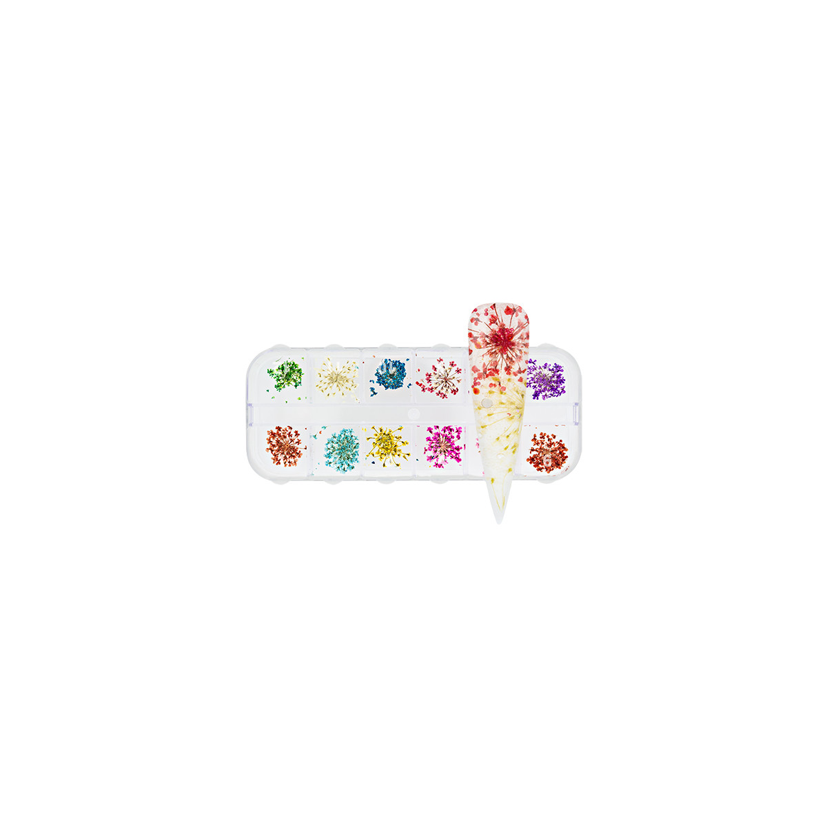 Nailart Display Dry Flower