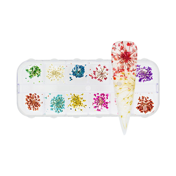 Nailart Display Dry Flower