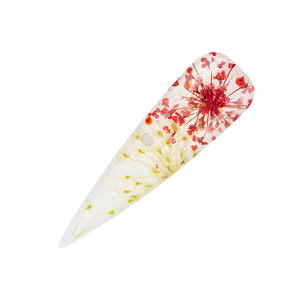 Nailart Display Dry Flower