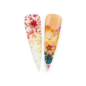 Nailart Display Dry Flower